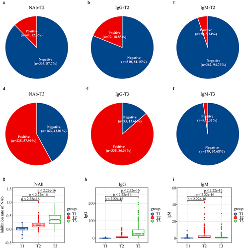 Figure 4. Alterations in anti-SARS-CoV-2 antibodies. All participants received two doses of CoronaVac with a 4-week interval, the dynamic alterations in anti-SARS-CoV-2 antibodies were analysed. (a–f) the positive rates of NAb, IgG, and IgM were 12.3%, 18.85%, and 5.24% at T2, respectively; and 57.99%, 86.34%, and 2.32% at T3, respectively. Alterations in the mean value of (g) inhibition rate of NAb, (h) IgG and (i) IgM following vaccination. T1, prior to the first dose of vaccine; T2, prior to the second dose; T3, 8 weeks following the second dose; NAb, neutralizing antibodies; IgG, immunoglobulin G; IgM, immunoglobulin M.