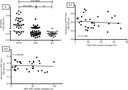 Figure S1 Anti-mycobacterial antibodies in HLT, APTP, and HHC sera. Compared to HLT sera, sera from APTP and HHC individuals contained significant levels of antibodies to Mycobacterium tuberculosis (APTP, 0.405 ± 0.141 OD; HHC, 0.246 ± 0.089; HLT, 0.213 ± 0.072; P<0.001 in both cases) but these levels did not correlate with the capacity of these sera to induce nuclear changes in NEU (panels A-A2). Antibodies were measured by ELISA (see “Materials and methods” section). Comparisons between groups were analyzed by the one-way ANOVA post-Tukey test, while correlations were analyzed by the Pearson r test.