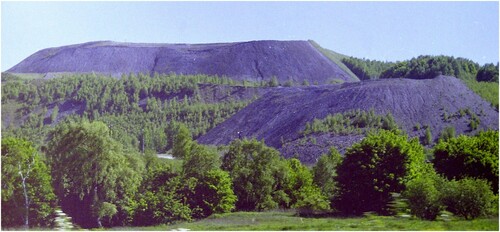 Figure 5. Large spoil tips with flattened tops, shortly after termination of coal mining activity. Many tips have been completely afforested since, in planned or spontaneous manner.