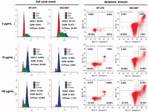 Figure 6. Flow cytometry analysis of the ADC inhibitory effects on cell proliferation. Cell cycle arrest and apoptosis analysis were executed in BT-474 and NCI-N87 cell lines, and the cells were incubated with different concentrations of mil40-12b for 24 h. Each experimental group contains two replicates.