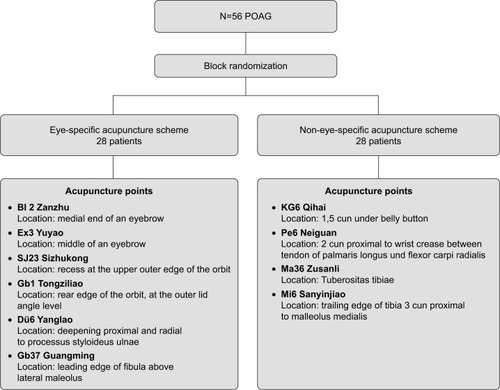 Figure 1 Needling points in the eye-specific acupuncture scheme and the non-eye-specific acupuncture scheme in POAG patients.