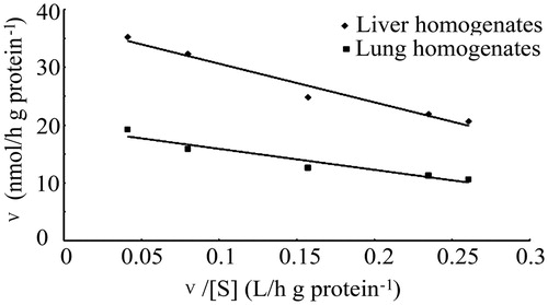 Figure 15. Regression line of v and v/[s] of liver homogenates and lung homogenates.