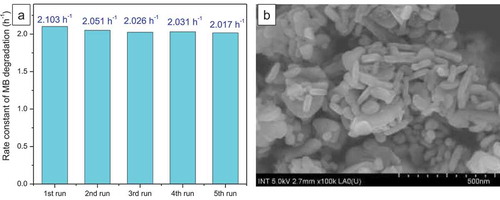 Figure 7. (a) Degradation of methylene blue on CuFe2O4/Fe2O3-2 catalyst in five consecutive experiments, (b) FE-SEM image of CuFe2O4/Fe2O3-2 sample after five consecutive catalytic tests