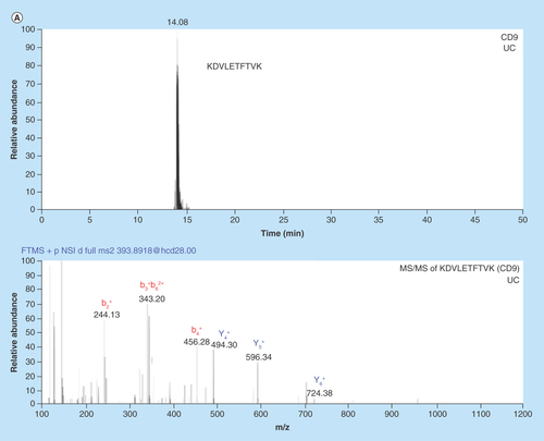 Figure 3.  Chromatograms and MS/MS spectrums from nanoLC–MS analysis of in-gel digested glioblastoma multiforme and breast cancer exosome peptides using data-dependent acquisition.(A) Chromatogram with corresponding MS/MS spectrum for the CD9 signature peptide KDVLETFTVK (m/z = 393.89, z = 3) in BC exosomes isolated by UC. (B) Chromatogram with corresponding MS/MS spectrum for the CNX signature peptide AEEDEILNR (m/z = 544.77, z = 2) from GBM exosomes isolated by UC. An in-house packed 50 μm × 150 mm column with 80 Å Accucore particles with C18 stationary phase was used for separation. The elution was performed with a linear gradient of 3–15% MP B in 120 min.BC: Breast cancer; GBM: Glioblastoma multiforme; UC: Ultracentrifugation.