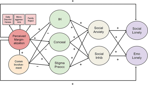 Figure 1. Theoretical model linking marginalization and loneliness.