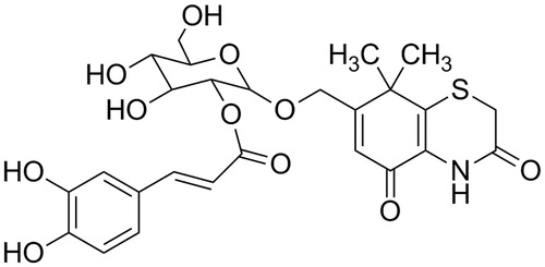 Figure 1. Structure of the CYXD.