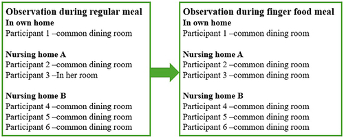 Figure 1. Presents the participant scenarios during the observations, both regular meals and finger food meals.