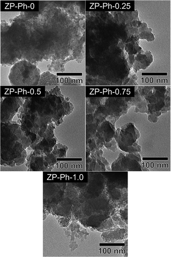 Figure 3. TEM images of the ZP-Ph-x samples