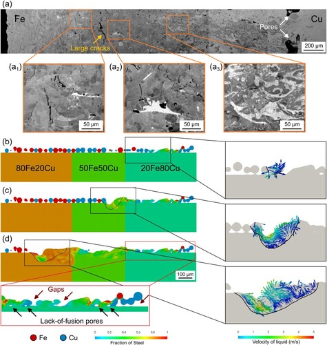 Figure 4. 316L SS and K220 Cu side-by-side vertical interface. (a) A montage of SEM images showing the morphology of various defects and chemical heterogeneities near the vertical interface. CFD simulations of the melt pool size and liquid flow velocities for 316L SS and K220 Cu material mixers with (b) 20 vol.%, (c) 50 vol.%, and (d) 80 vol.% K220 Cu.