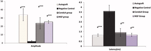 Figure 4. Evoked muscle action potential (EMAP) and latency (DL) of autograft, Negative Control group, Conduit and Conduit + NGF group after 12 weeks implantation in rats compared with each other. There were no significant differences between autograft group with Conduit and Conduit + NGF group (p > .05). Significance was seen between Negative Control group with autograft, Conduit alone and Conduit + NGF group. ap < .05 compare with Negative Control group; ap < .01 compare with Negative Control group; ap < .001 compare with Negative Control group.
