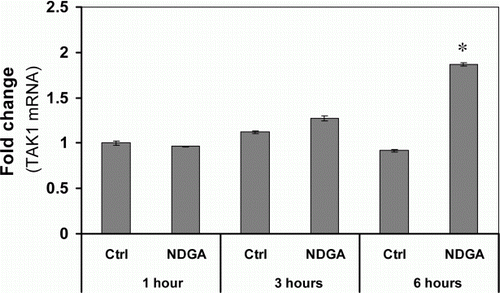 Figure 3.  Effect of NDGA on TAK1 mRNA level. NDGA had no negative effect on TAK1 mRNA levels. RAW264.7 cells were treated with 10 µM NDGA for indicated times and were analyzed the expression of TAK1 mRNA by real-time PCR. Each mRNA level was expressed by comparing with 1-hour control level.