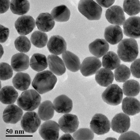 Figure 2. TEM image of the prepared colloidal GNP (scale bar of 50 nm).