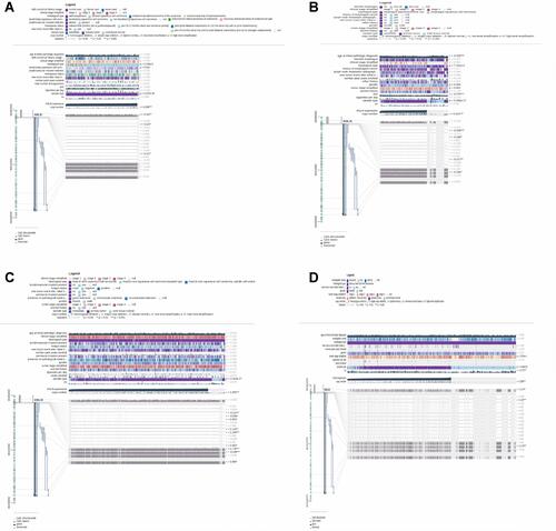 Figure 6 Promoter methylation–level validation of ANLN in CESC, ESCA, HNSC, and KIRC via MEXPRESS. (A) CESC; (B) ESCA; (C) HNSC; (D) KIRC. *P<0.05, **P<0.001, ***P<0.0001.