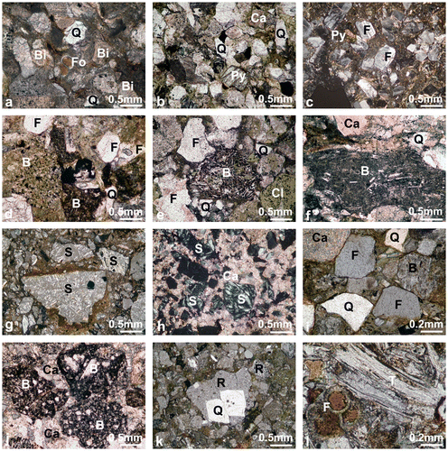 Figure 27. Photomicrographs of Upper Cretaceous–Eocene sandstones from the suture zone and the adjacent Eurasian continental margin. (a) Redeposited carbonate (packstone) with neritic bioclast fragments (e.g. bivalves, calcareous algae, echinoderm plates) in the highest levels of the Eurasian margin succession (half-polarised light); 5 km NW of Otlukbeli (SW of Bayburt); see Figure 31 (40°01′38.8″N, 39°55′47.4″E); (b) Sublitharenite (plane-polarised light); largely quartz, altered basalt and basaltic glass, plus clinopyroxene, with a calcite spar cement (Bardızçayı Formation, near Doşkaya, Kırdağ area; see Figure 29; 40°29′26.6″N, 42°13′44.8″E); (c) Subarkose (crossed nicols). Feldspar (zoned plagioclase) in a matrix of volcaniclastic siltstone, including rare clinopyroxene and hornblende; Upper Cretaceous (Bardızçayı Formation); main road south of Zümrüt (to Çatalelma), Kırdağ area; see Figure 18; 40°31′21.7″N, 42°14′49.0″E); (d) Litharenite (plane-polarised light). Upper Cretaceous volcanogenic sandstone (plane-polarised light); N of Karadağ; abundant basaltic and feldspar (plagioclase grains; near Başaklı köy; see Figure 25(b); 40°27′24.8″N, 41°47′46.0″E); (e) Litharenite (plane-polarised light). Upper Cretaceous volcanogenic sandstone, rich in basalt and plagioclase, together with some clinopyroxene and hornblende; 4 km W of Akören köy, Horasan area (see Figure 5, 40°15′34.5″N, 42°12′39.1″E); (f) Litharenite (crossed nicols). Upper Cretaceous volcanogenic sandstone, compositionally similar to e; see Figure 5 for location; NW of Aziziye; near 39°48′55.6″N, 41°22′29.3″E); (g) Litharenite (serpentinite-rich, coarse, poorly sorted sandstone (half crossed nicols); c. 3.5 km NW of Dönertaş, Horasan area (see Figure 6); 40°14′36.5″N, 42°06′54.6″E). (h) As g, serpentinite grains in calcite spar cement (crossed nicols); (i) Subarkose (crossed nicols); common grains of feldspar, altered basalt and quartz with a calcite spar cement; near base of Eocene sequence, 3000 m of Ağılözü, NW of Erzincan (39°52′52.1″N, 39°19′40.5″E); (j) Litharenite (half-polarised light); basaltic grains with plagioclase microphenocrysts in matrix of devitrified glass; calcite spar cement; Middle Eocene; NW of Bozdoğan; Olur area (see Figure 33, 39°53′09.6″N, 39°27′23.1″E); (k) Litharenite (half-polarised light); including silicic volcanic grains; Upper Palaeocene?–Eocene succession that structurally underlies the Kırdağ ophiolite (see Figure 25(b); SW of Başaklı köy; 40°34′59.3″N, 42°08′49.2″E); (l) Litharenite (tuff); volcanic glass (tephra) within relatively deep-marine foraminiferal sediments (half-polarised light); Middle Eocene; NW of Bozdoğan, Olur area (see Figure 33); 40°53′06.1″N, 42°06′02.7″E). Key to grains: Ba, Basalt; Ca, Calcite; C, Chlorite (altered basic volcanic); F, Feldspar; Fo, Planktic foraminifer; Py, Clinopyroxene; Q, Quartz; R, Rhyodacite; S, Serpentinite; T, Tephra (volcanic glass).