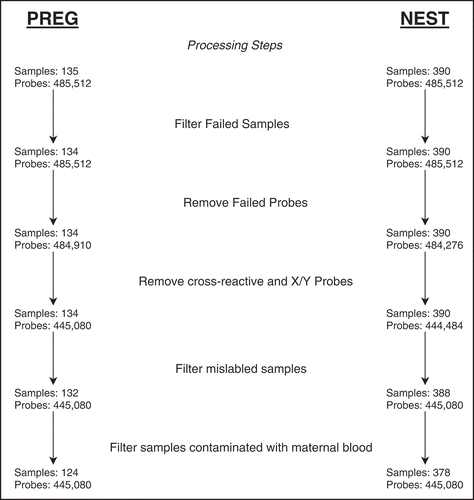 Figure 1. PREG and NEST cohort DNA methylation array probe and sample filtering summary for major processing steps