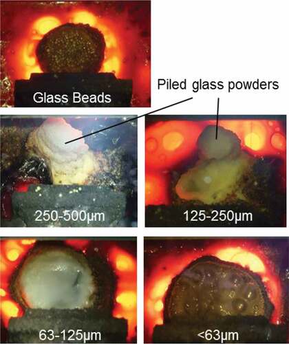 Figure 3. Typical cold-cap conditions of bead-feed and powder-feed tests.