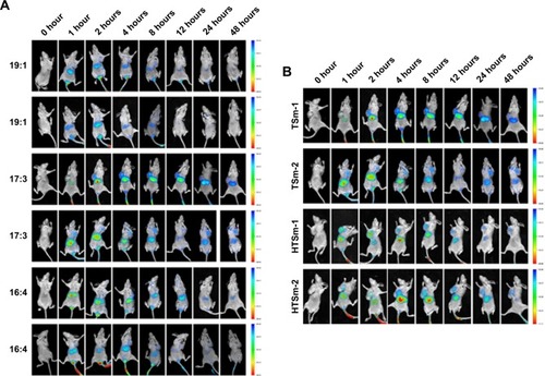 Figure 5 In vivo tumor targeting assays.Notes: (A) In vivo fluorescence images of different ratios of Solutol and TPGS. (B) Dir-TSm (17:3) and Dir-HTSm (17:3) in MDA-MB-231 tumor-bearing female nude mice.Abbreviation: TPGS, tocopheryl polyethylene glycol succinate.