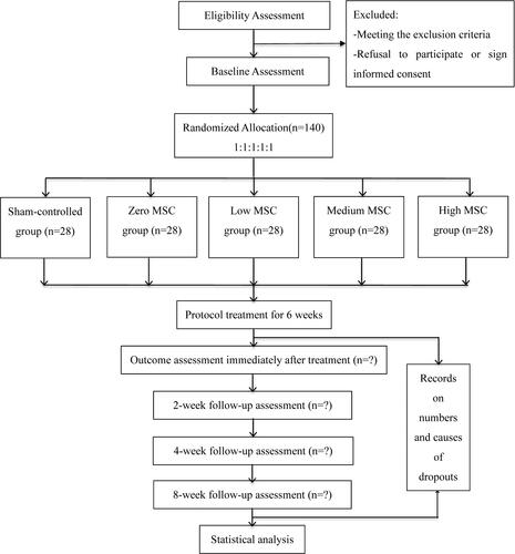 Figure 1 Study flow chart.