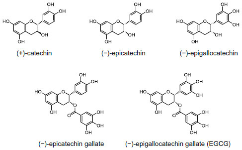 Figure 1 Chemical structures of (+)-catechin and four major green tea catechins.