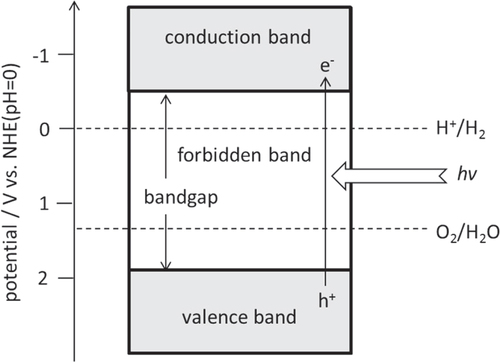 Figure 2. Basic principles of water splitting on a semiconductor photocatalyst.