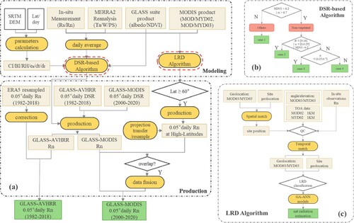 Figure 4. Workflow of GLASS-MODIS/GLASS-AVHRR daily Rn algorithm and production. Detailed information about the DSR-based Algorithm and LRD Algorithm are shown in the right panel.