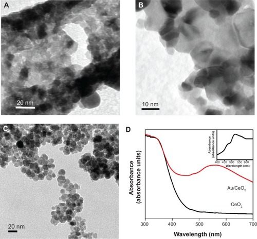 Figure 3 Transmission electron microscopic image of CeO2 (A), Au/CeO2 (B), Au NPs (C), and ultraviolet-visible spectra for CeO2 and Au/CeO2 (D) with an inset showing an enlarged view of the Au peak for Au NPs.Abbreviations: Au, gold; CeO2, cerium oxide; Au/CeO2, gold-coated cerium oxide; NPs, nanoparticles.