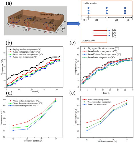 Figure 4. Detection of temperature in various wood layers (a), changes in internal temperature during the drying of untreated wood (b) and modified wood (c). Changes in moisture content in the layers of untreated wood (d) and modified wood (e) at different moisture levels.