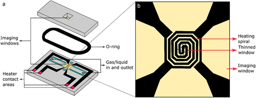 Figure 1. Schematic of the DENSsolutions in situ chip. (a) The DENSsolutions in situ chip (P.J.GH.SS.2, climate chip for JEOL holder). It can be used for correlative imaging in gas environments across the I14 beamline and the ePSIC E01 TEM, or for liquid experiments on the I14 beamline. The silicon nitride imaging windows are indicated in yellow. A liquid or gas can be inserted into the chip through the inlet and outlet. The temperature controller can be connected through the heater contact areas to heat the sample and sample environment. The o-ring is used to seal the top and bottom chip. (b) Magnified view of the imaging window, showing the heater spiral and the thinned 20 nm imaging areas. TEM imaging is limited to these areas, while X-ray imaging on the beamline can be done anywhere on the window.