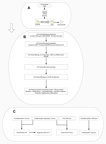 Figure 1 Clinical exome sequencing (CES) workflow of cases presented in this study.(A) Exome sequencing and bioinformatic analysis of 372 cases. (B) Using phenotype-driven strategy to filter and interpret variations: (1) variant filtering by phenotype and/or in silico gene list. (2) variant filtering by population frequency (minor allele frequency, MAF ≤1%. (3) variant filtering by variant type and/or ClinVar pathogenicity and/or OMIM and/or HGMD and/or internal pathogenic prediction tools. (4) variant filtering by genotype. (5) variant filtering by American College of Medical Genetics and Genomics (ACMG) classification. (6) clinical/phenotypic re-evaluation of retained variants. (C) Number of cases with identified causative variants [certainly, positive and variants in need for family segregation and targeted Sanger sequencing confirmation], no causative variant (certainly negative), and unsolved cases (further investigation for VUS was not applicable).