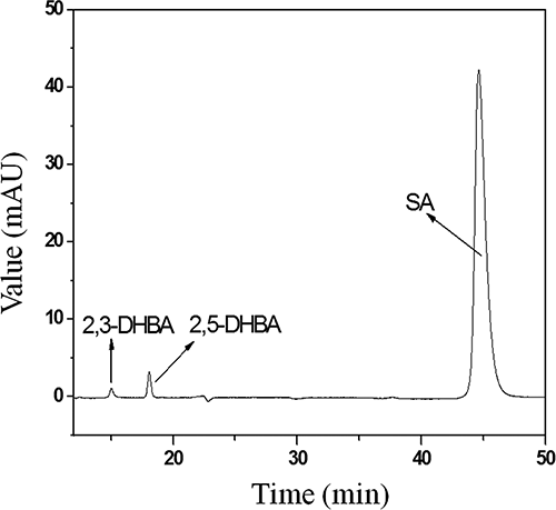 Figure 4. Liquid chromatogram of SA hydroxyl compounds.