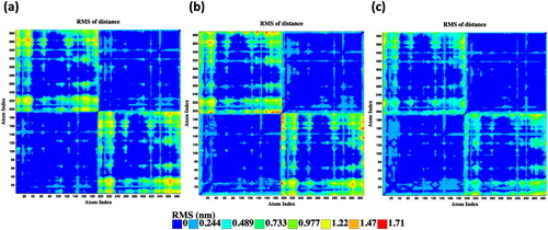 Figure 4. Distance fluctuation maps between the Cα atoms within the equilibrated trajectories of the wild-type (a), R178C (b), and P32T (c).