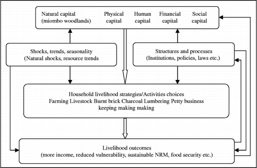 Figure 1 Sustainable livelihood conceptual framework model. Source: DFID's sustainable livelihoods framework (Carney Citation1998) and IDS's sustainable rural livelihoods framework (Scoones Citation1998).