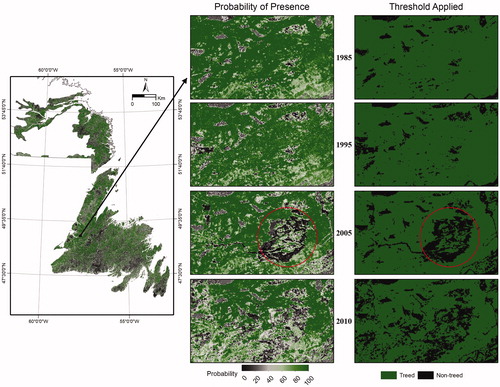 Figure 4. Probability of presence and binary map of treed and non-treed area created using a threshold of 0.5 for a selected area in western Newfoundland, Canada. Area of forest harvesting circled in red.