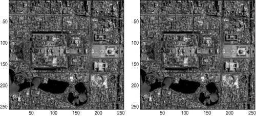 Figure 6. The blurred images for different noise levels: Left: level = 0.005; Right: level = 0.01.