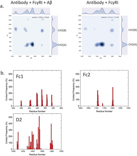 Figure 4. Fc-hFcγRI interactions and interfacial residues present asymmetric distributions of intermolecular contacts. a. 2D contact frequency map between antibody and Fc receptor D2 domain. b. contact frequency of residues from Fc1, Fc2, and hFcγRI D2 domain, respectively.
