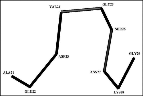 Figure 3 The trace of the Cα-atoms of the average Ω-shaped structure formed by the Ala21-Gly29 segment in the stable state at pH 8.