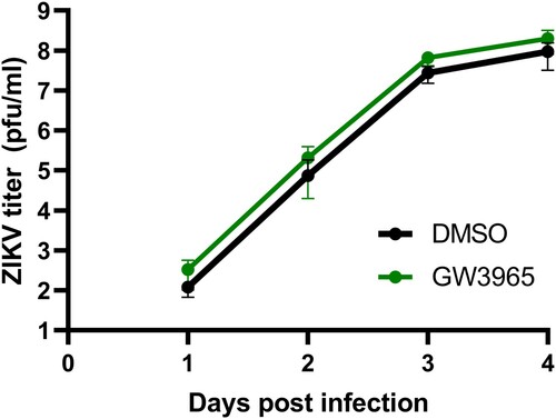 Figure 4. The LXR agonist GW3965 does not affect ZIKV replication. SK-N-SH cells were treated with 2 μM GW3965 then infected as described in Figure 2.