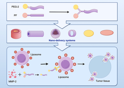 Figure 6 Altering Lipid Surface Charge in Nano Drug Delivery Systems.