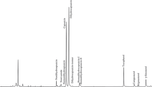 FIGURE 2 TIC of chili sample estimated by the GC-MS method.