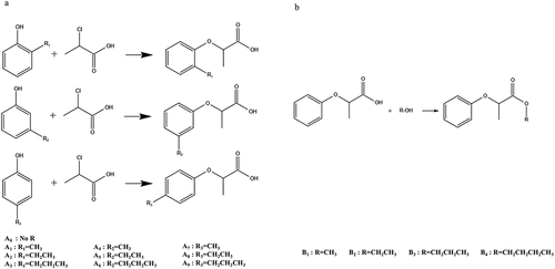 Figure 1. Synthetic route of HPMP alkylated derivatives (a) and esterified derivatives (b).