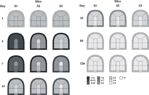 Figure 4 The changes of hardness (N) for each of 13 segments of the slices S1, S2, and S3 tested during 126-day ripening at 10°C (mean: n = 6).