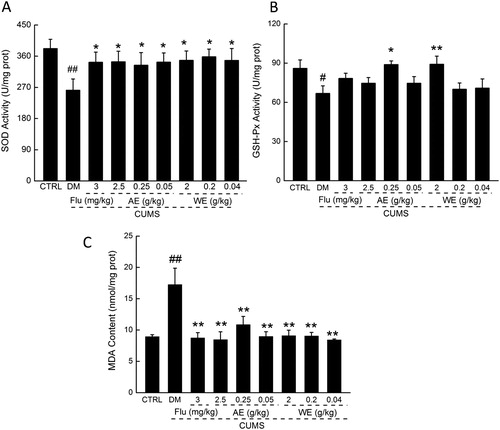 Figure 4. Anti-oxidative effects of P. tenuipes M98 extracts on normal and stressed mice. The levels of SOD (A), GSH-Px (B) and MDA (C) in brain were measured. #p < .05 and ##p < .01 versus control mouse; *p < .05 and **p < .01 versus model group.