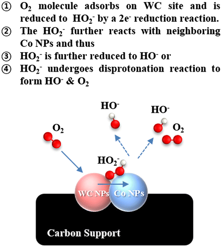 Figure 9. Proposed dual site ORR mechanism on Co-WC/C.