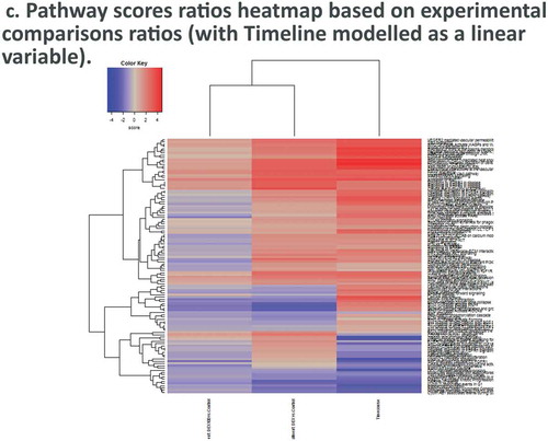 Figure 4. (Continued).