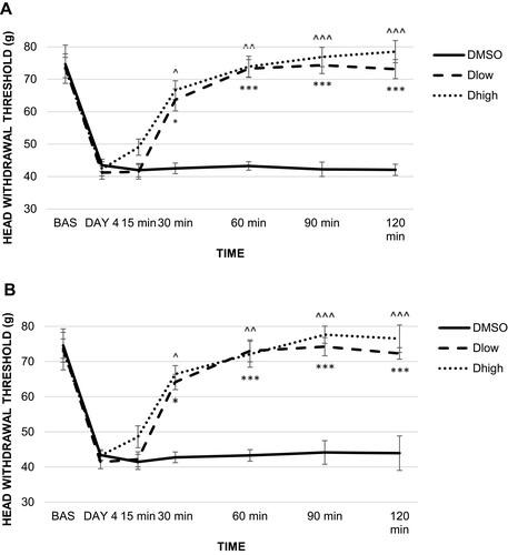 Figure 5 The effect of unilateral administration of AR-C118925 or dimethyl sulfoxide (DMSO) on head withdrawal threshold (HWT) in rats injected with complete Freund’s adjuvant (CFA). (A) The effect on HWT of ipsilateral CFA and AR-C118925/DMSO injection. (B) The effect on HWT of contralateral CFA and AR-C118925/DMSO injection.Notes: *p˂0.05, ***p≤0.001 for Dlow group, ^p˂0.05, ^^p≤0.01, ^^^p≤0.001 for Dhigh group.Abbreviations: DMSO, dimethyl sulfoxide; HWT, head withdrawal threshold; CFA, complete Freund’s adjuvant; Dlow, 0.2 mg/100 μL dose of AR-C118925; Dhigh, 1 mg/100 μL dose of AR-C118925.