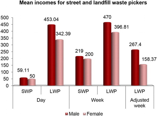 Figure 2. Average income earned by street and landfill waste pickers according to gender.