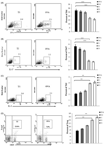 Figure 5. Flow cytometry profiles of spleen mononuclear cells. The percentage of Th1, Th2, Th17 and Treg cells in the CD4+ gate was analyzed by flow cytometry. Mononuclear cells were isolated from spleen at the time of sacrifice on day 21 post-immunization from mice induced EAE. (A) Mononuclear cells were stimulated with PMA and ionomycin in the presence of the Golgi inhibitor brefeldin A for 4 h, then stained and analyzed by flow cytometry for intracellular production of (A) IFN-γ, (B) IL-17, and(C) IL-4. Values in the bar graphs are the mean ± SEM. (D) for intracellular staining of Foxp3; mononuclear cells were washed and stained with anti-CD4 and anti-CD25 antibodies for 30 min at 4 °C. Cells were washed and incubated in fixation/permeabilization buffer. Foxp3 staining was performed using the anti-Foxp3 antibody. CD4+ T-cells from spleen were gated and their CD25 and Foxp3 expression were analyzed by flow cytometry. Values in the bar graphs are the mean ± SEM. *p < .05, **p < .01, and ***p < .001, T1, T2, T3 and Ctrl groups compared with OVA group. Mice were divided into five groups: 1. Control group (Ctrl), 2. Ovariectomized group (Ova), 3. Low dose estrogen treatment group (T1), 4. Medium dose estrogen treatment group (T2), and 5. High dose estrogen Treatment group (T3).