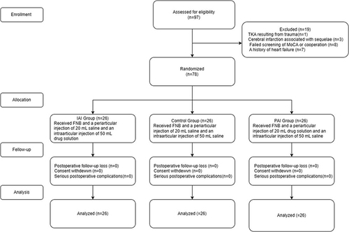 Figure 1 Consolidated standards of reporting trials flow diagram through study.