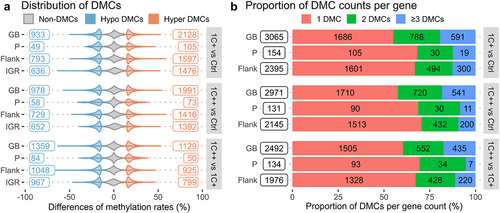 Figure 4. Distributions and counts of DMCs identified by three pair-wise comparisons. (a) violin plots showing distributions and counts of non-DMCs, hypo DMCs, and hyper DMRs in four different genomic regions for three comparisons. The x-axis represents the percentage differences of methylation rates. (b) stacked barplots showing the number of DMCs per gene, 1 DMC (red), 2 DMCs (green), and greater than or equal to 3 DMCs (blue), in three different genomic regions for three comparisons. The x-axis represents the proportions of DMC counts in percentage.