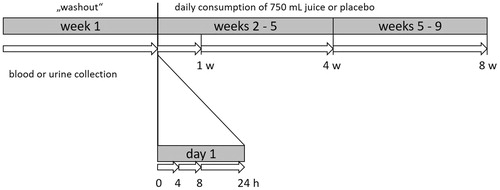 Figure 1. Design of the 9-week placebo-controlled intervention study. w: week; h: hour.